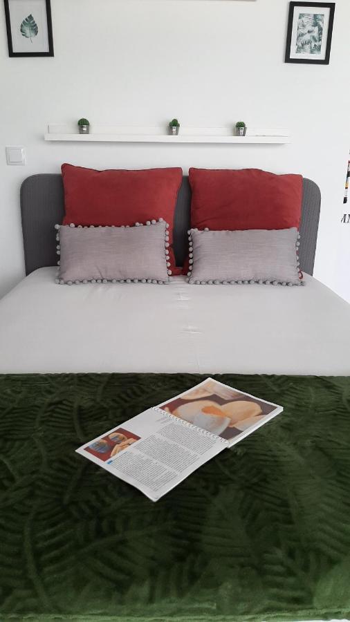 Love' In Aveiro Apartments - Blanc Dış mekan fotoğraf